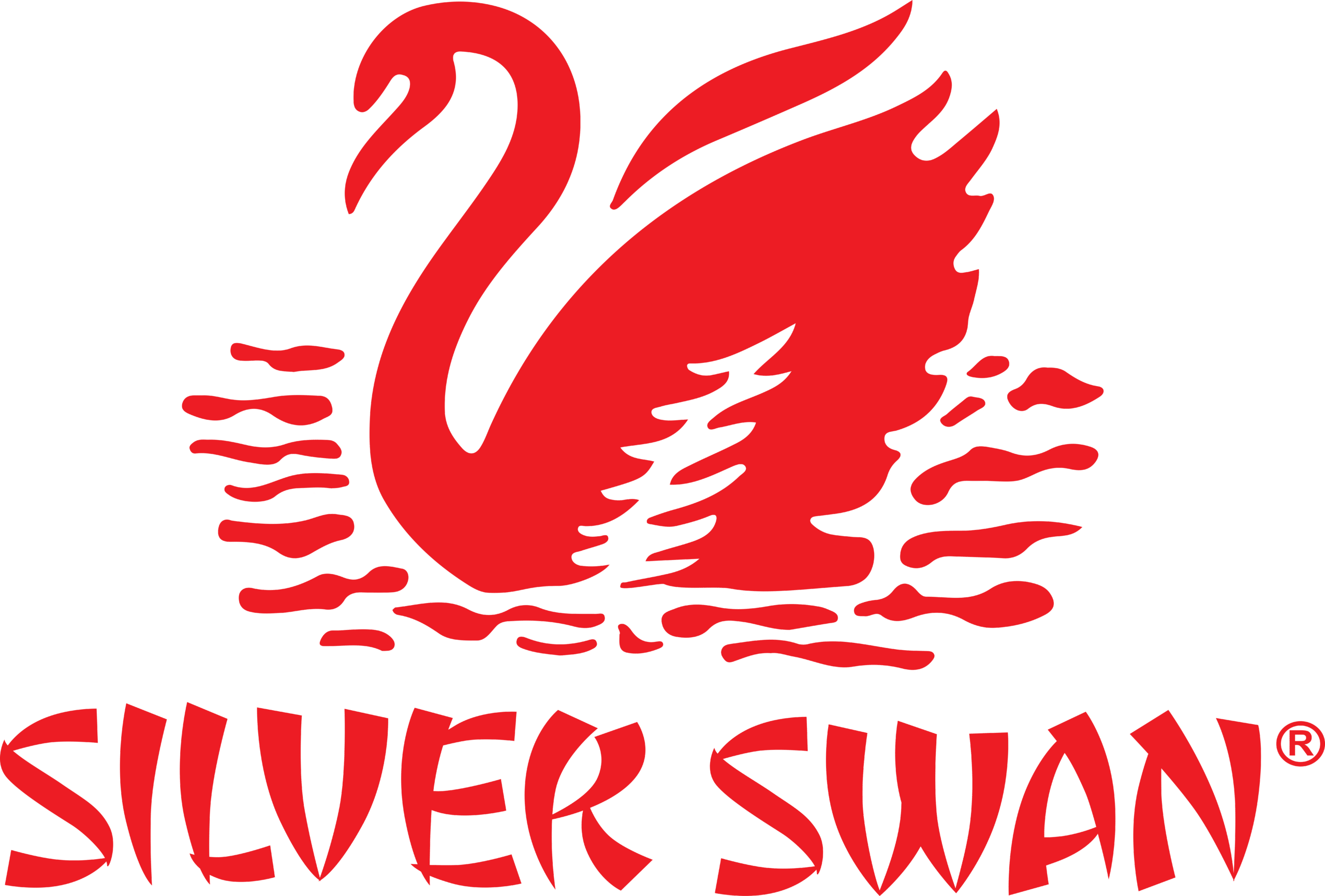 SILVER SWAN